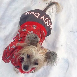 Zimní overal pro psy – Nelinka